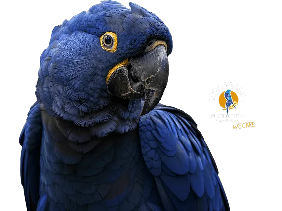 Попугай породы Спикс с логотипом фонда помощи попугаям Loro Parque Fundacion